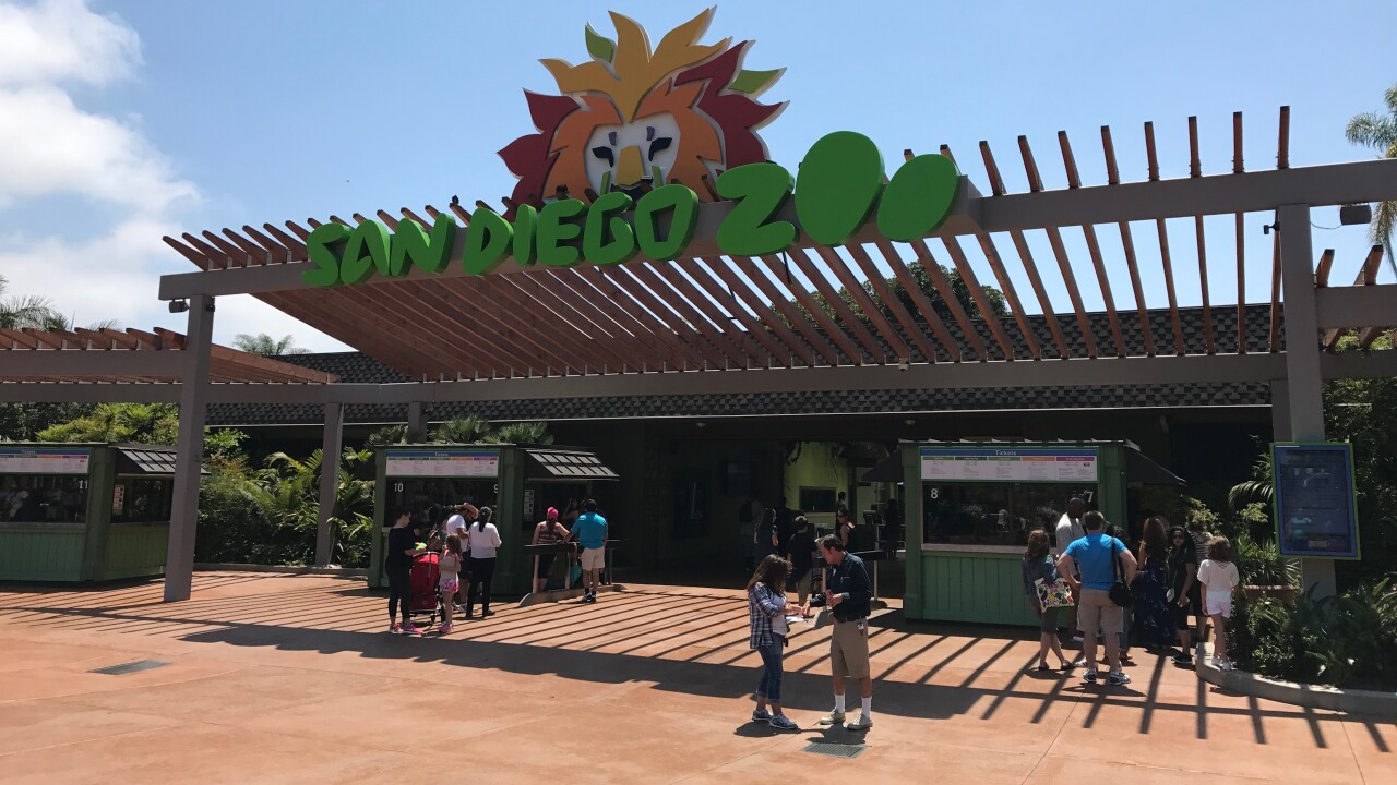 Video Sesame Street Parade Of Lights Drive Through Experience Debuts At Seaworld San Diego Laughingplace Com
