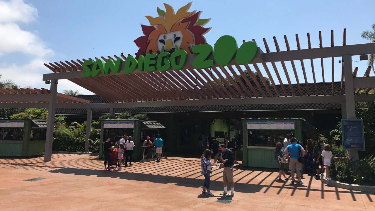 Generic San Diego Zoo