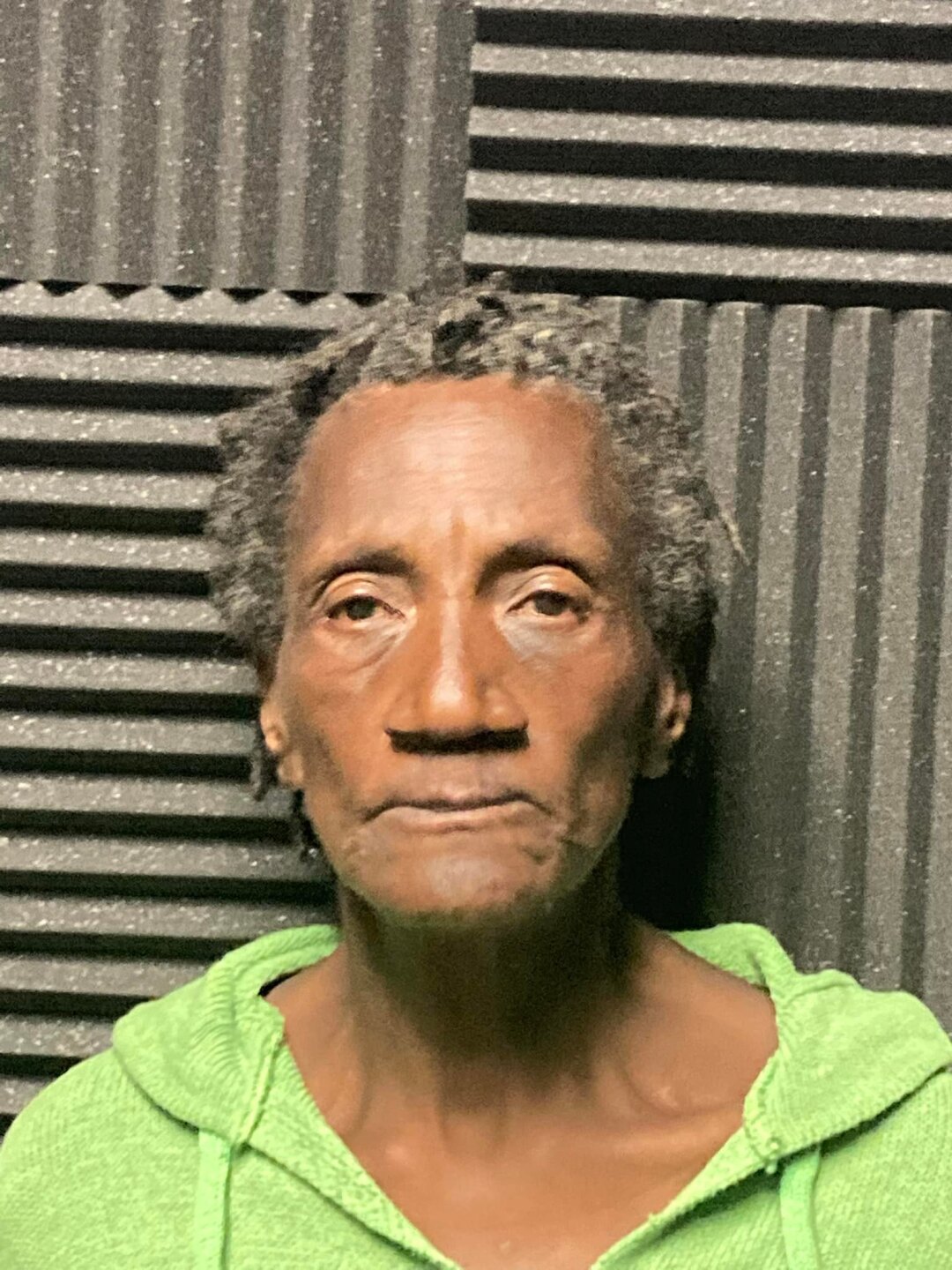 Petersburg Denise Townes Mug.jpg