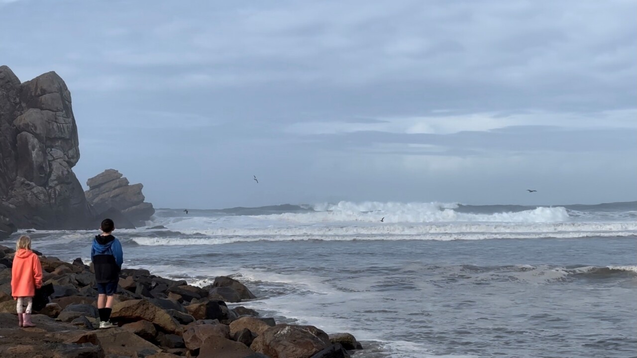 kids watching waves.jpg