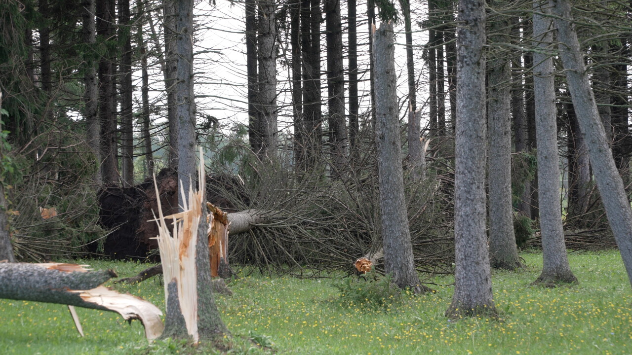 OLCOTT TORNADO