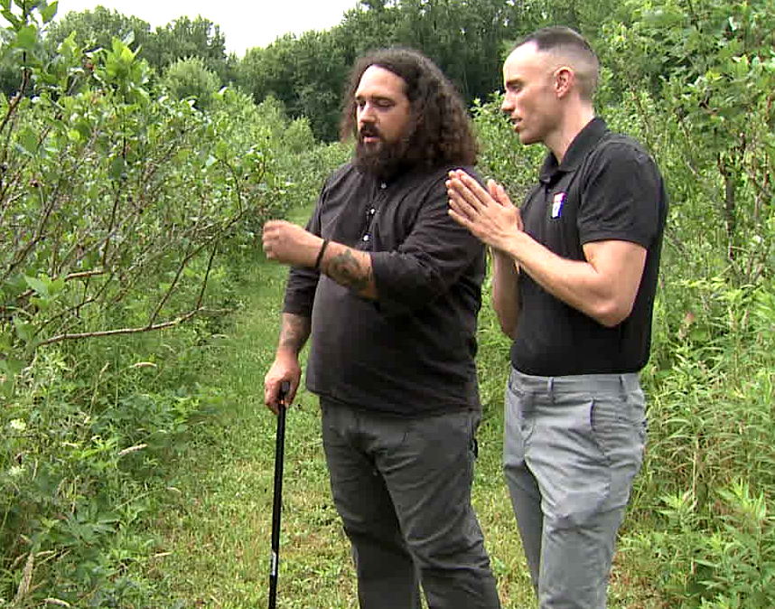 MISSION ON THE FARM: Bangor blueberry farmer giving vets free pints 