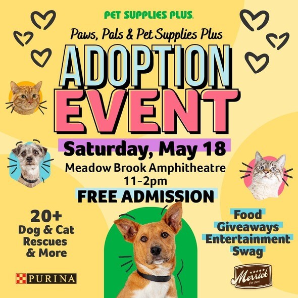 Adoption Event May 18 Rochester.jpeg