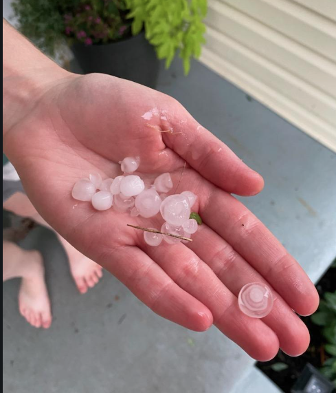 Screen Shot 2022-07-12 at 5.20.35 PM.png