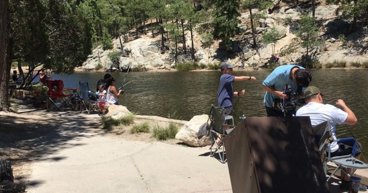 Another bear sighting on Mount Lemmon