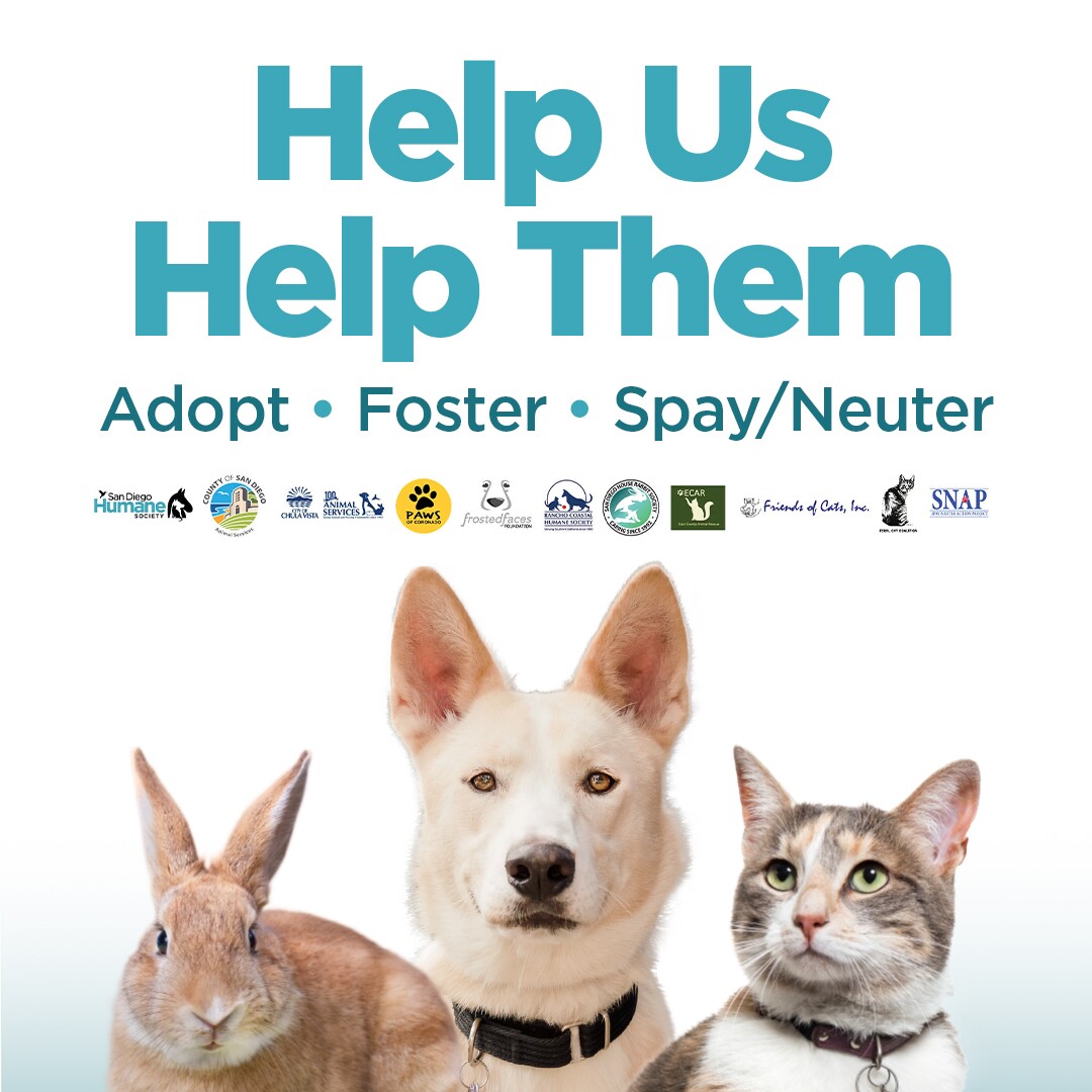 State of the Shelters-SQshare1080-ALLLOGOS.jpg