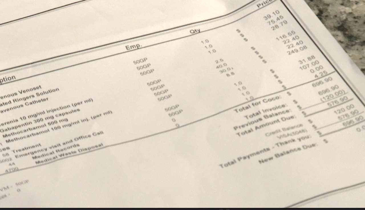 vet bill