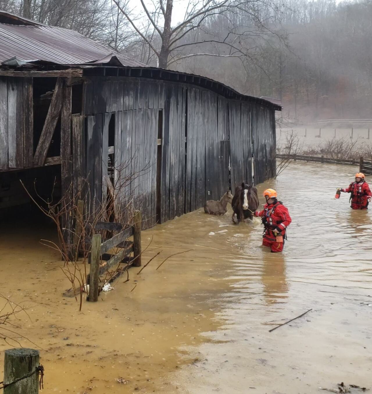 Courtesy Rough Terrain Rescue.jpg