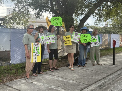 tampa tree advocacy group 