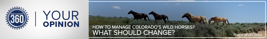 youopinion-form-cta-wildhorses.png