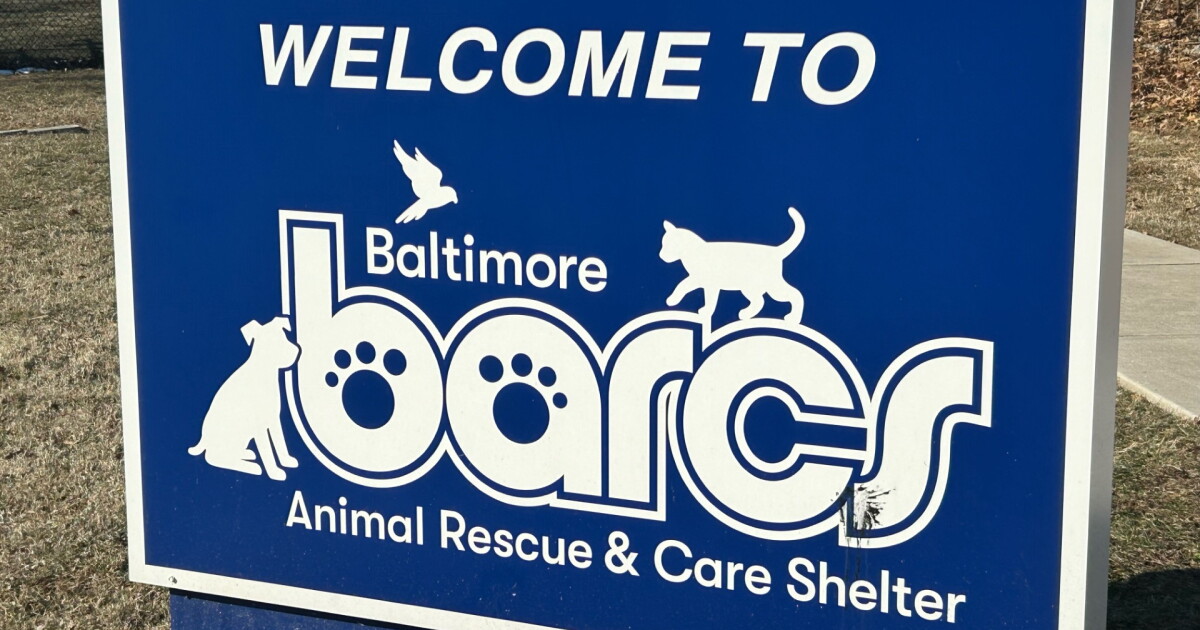 BARCS pleads for adoptions after kennels fill overnight