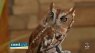 Virginia Zoo on Coast Live
