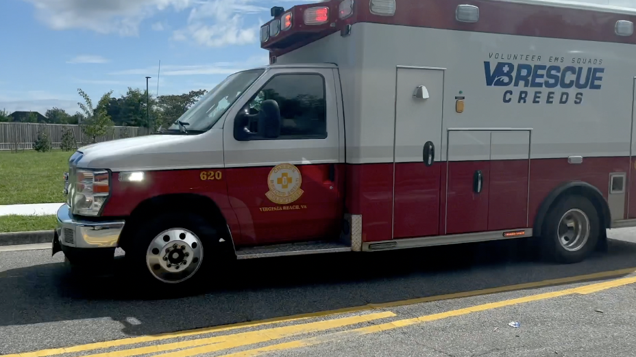 VB EMS