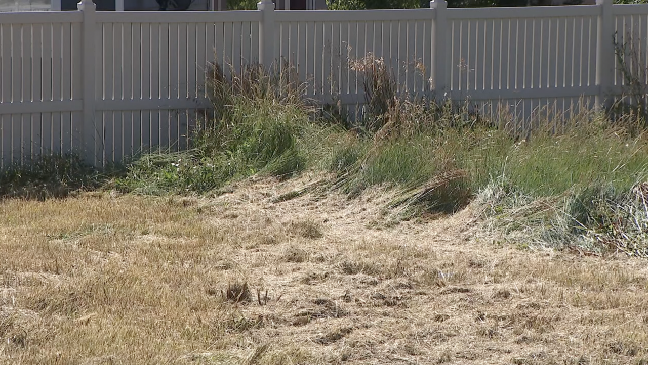 Xcel mows easement for Aurora resident concerned about fire danger