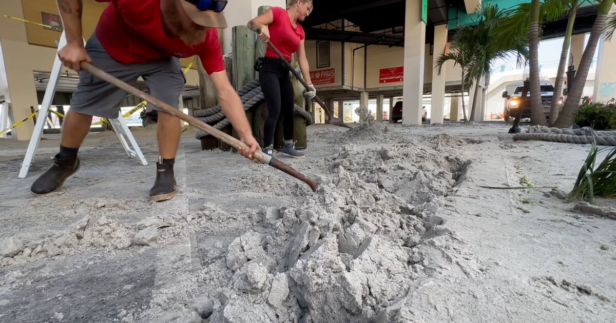 How St. Pete residents can dispose of storm debris after Hurricane Idalia - Vimarsana News