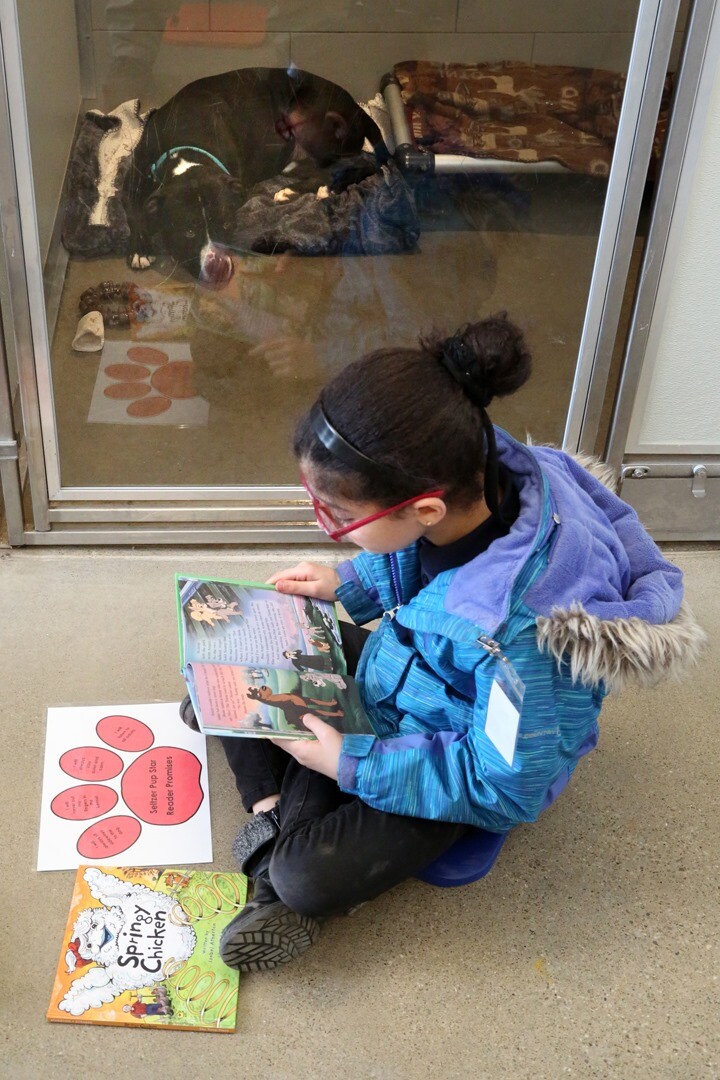 Students from Marion C Seltzer Elementary School read to dog at City Dogs.
