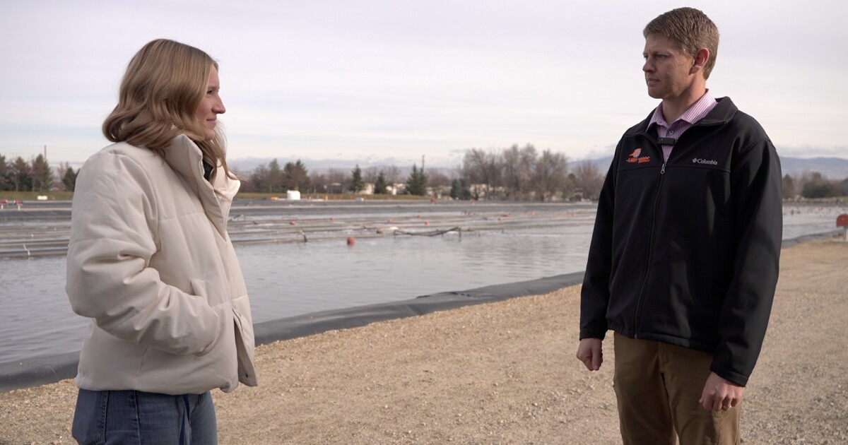 Eagle's $20 million wastewater reuse project sparks debate among neighbors