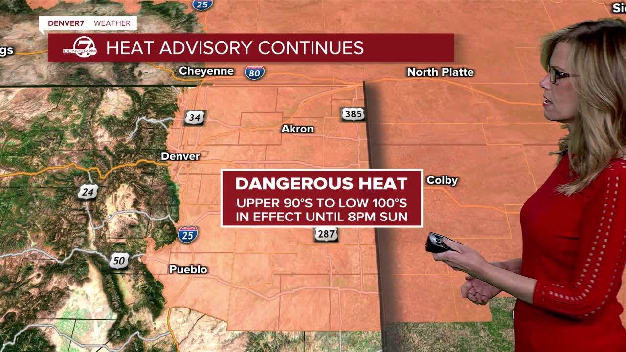 Heat Advisory for metro