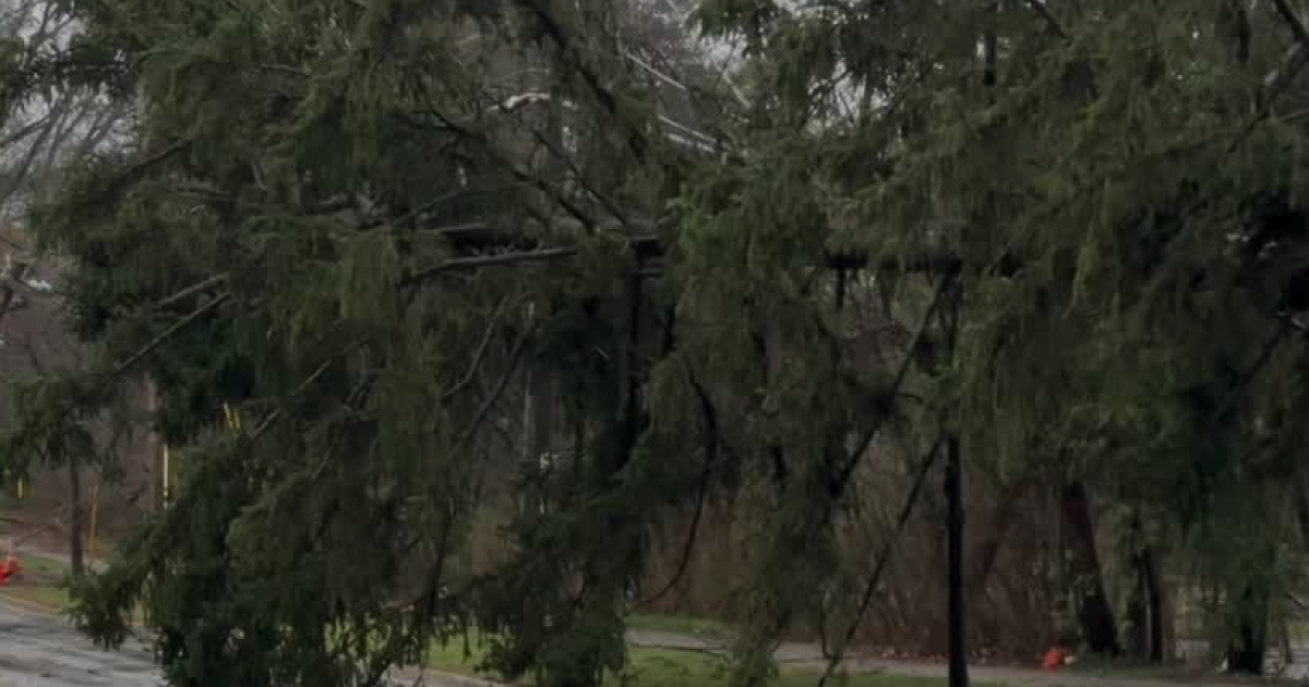 Exploding Tree Alert Radar Map 3 killed when tree hits vehicle in Michigan amid widespread storms