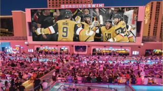 Stadium Swim Vegas Golden Knights 