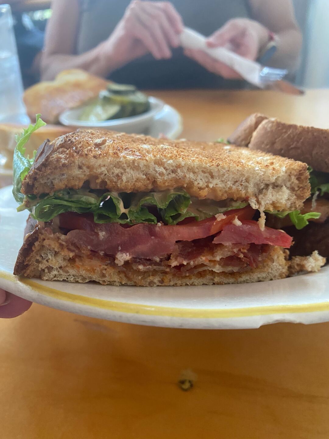 Hot Tomato Summer Garnett's