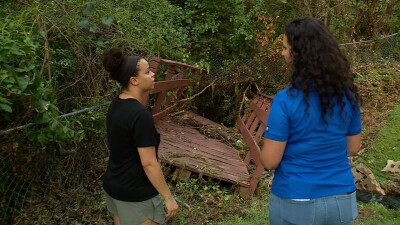 Bridge break