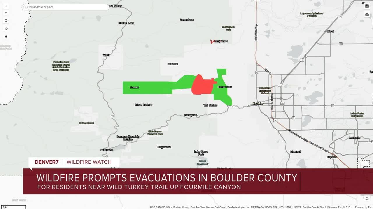 wild turkey wildfire boulder.jpg