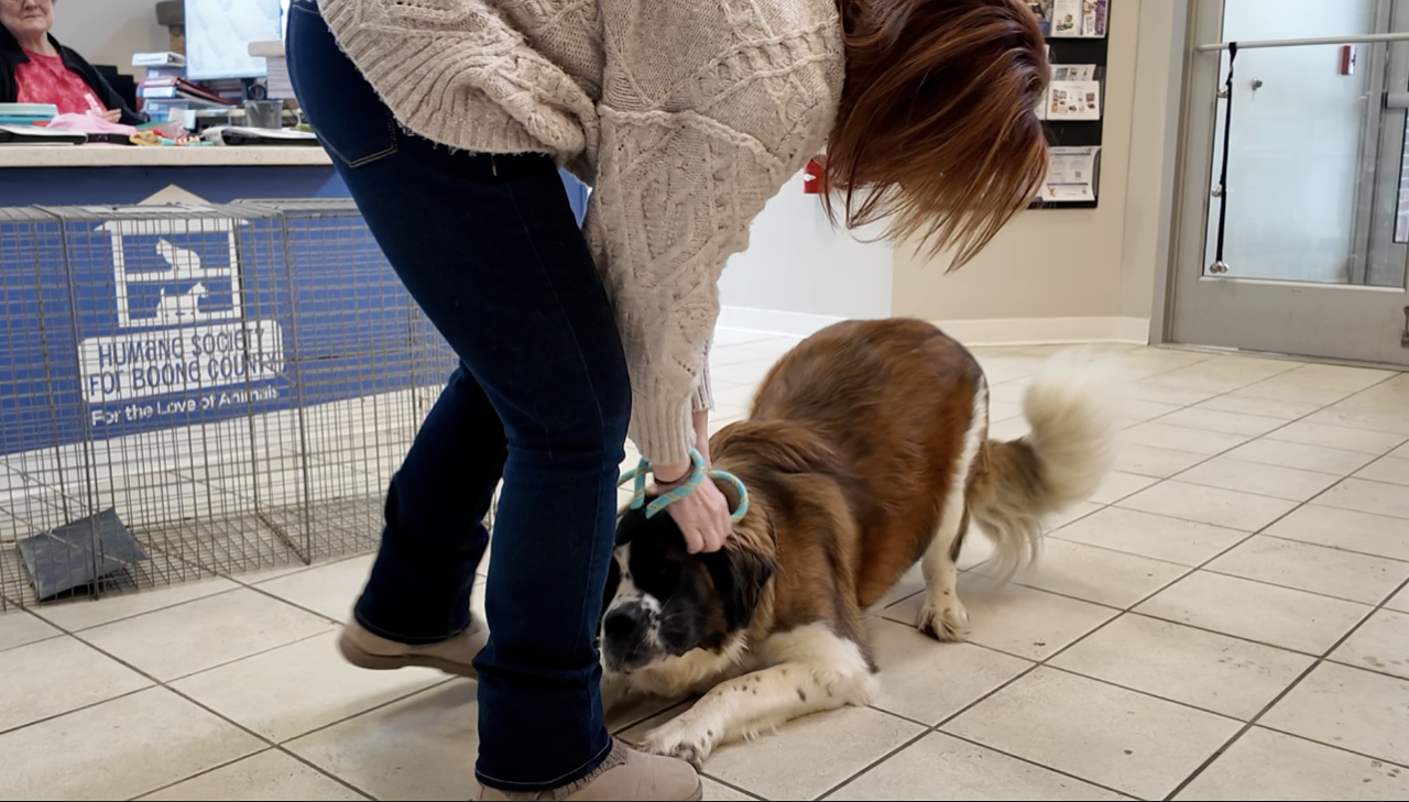 Screenshot 2026-01-16 at 5.10.28 PM.png