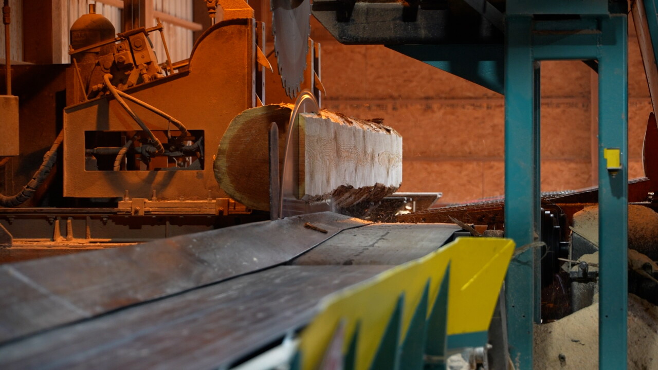 Marks Lumber saw