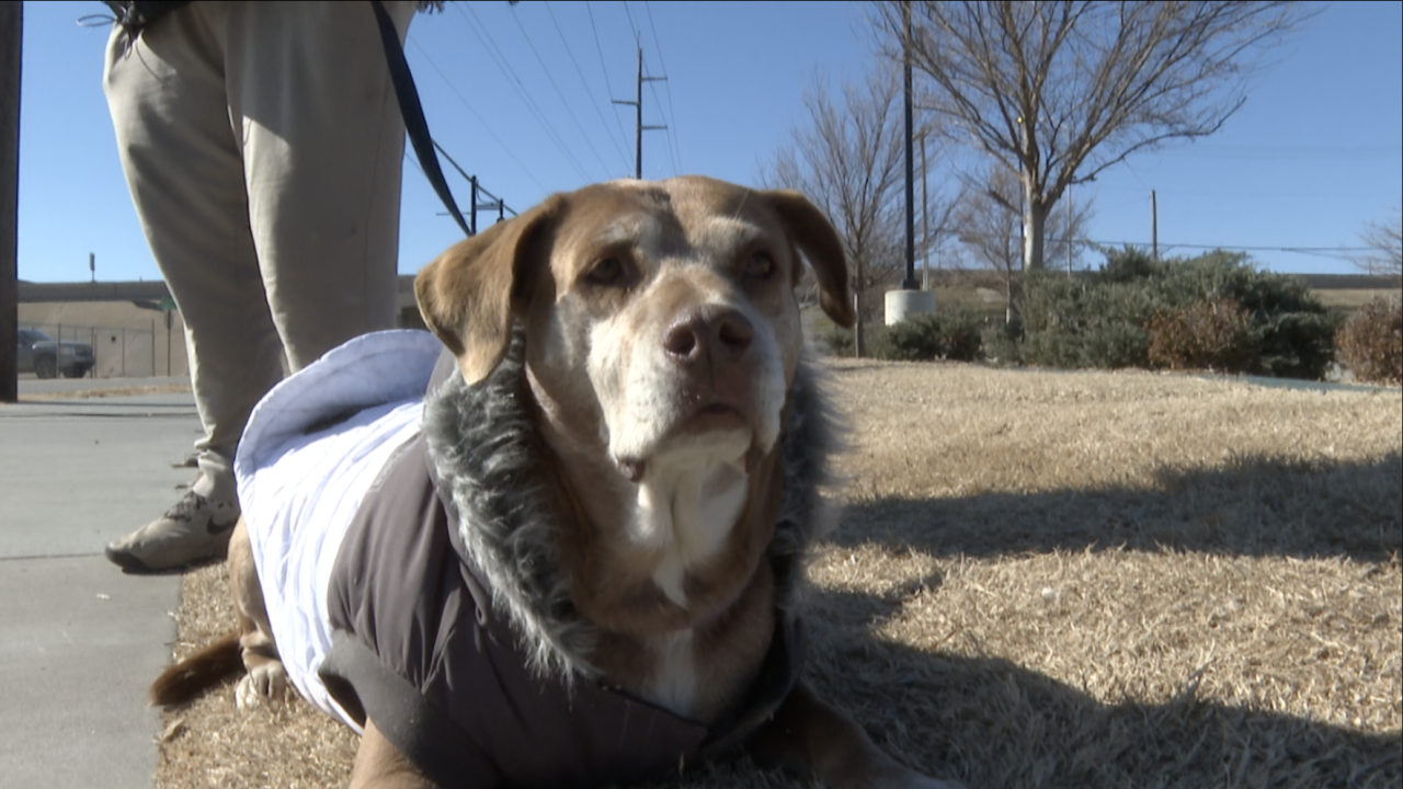 Screenshot 2025-01-24 at 4.52.48 PM.png