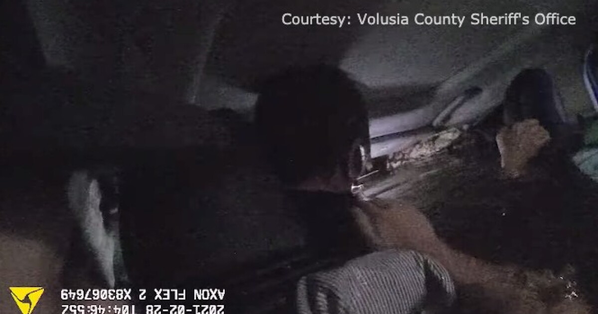 Dramatic water rescue caught on deputies' cameras