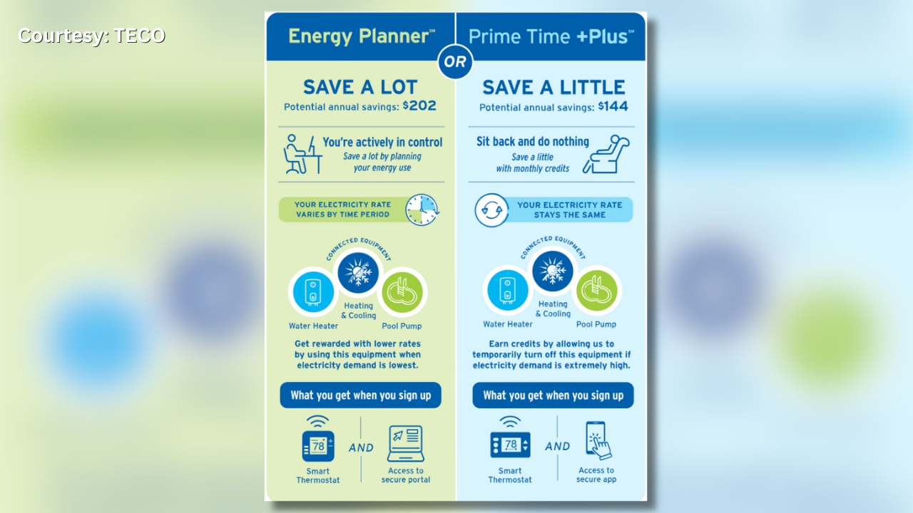 Energy Planner or Prime Time Plus