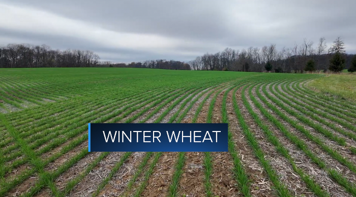 Screenshot 2025-11-11 at 4.17.30 PM.png