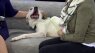 Pet Adoption Tuesday: Meet Max