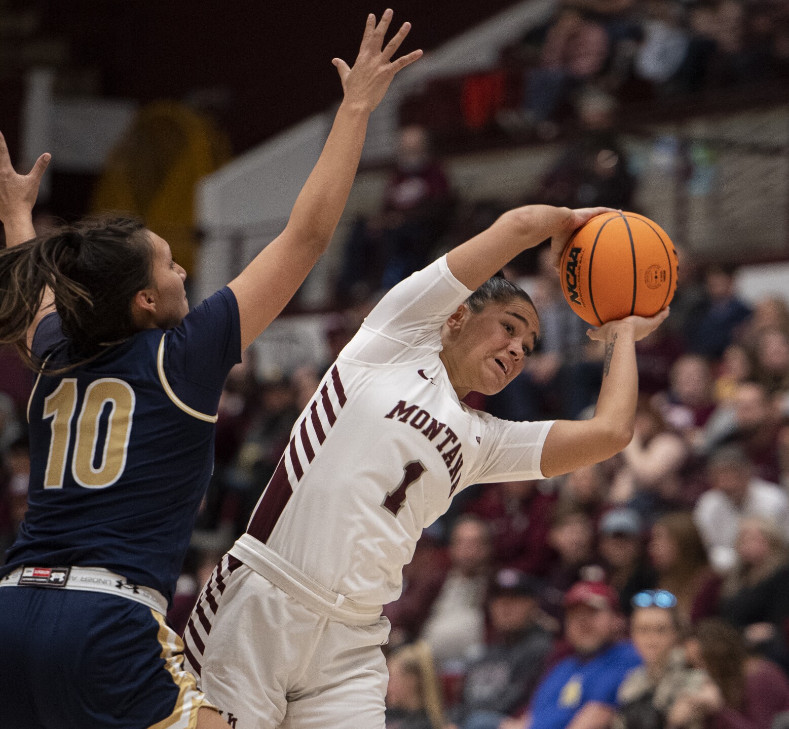 Photos Montana and Montana State women's CatGriz game