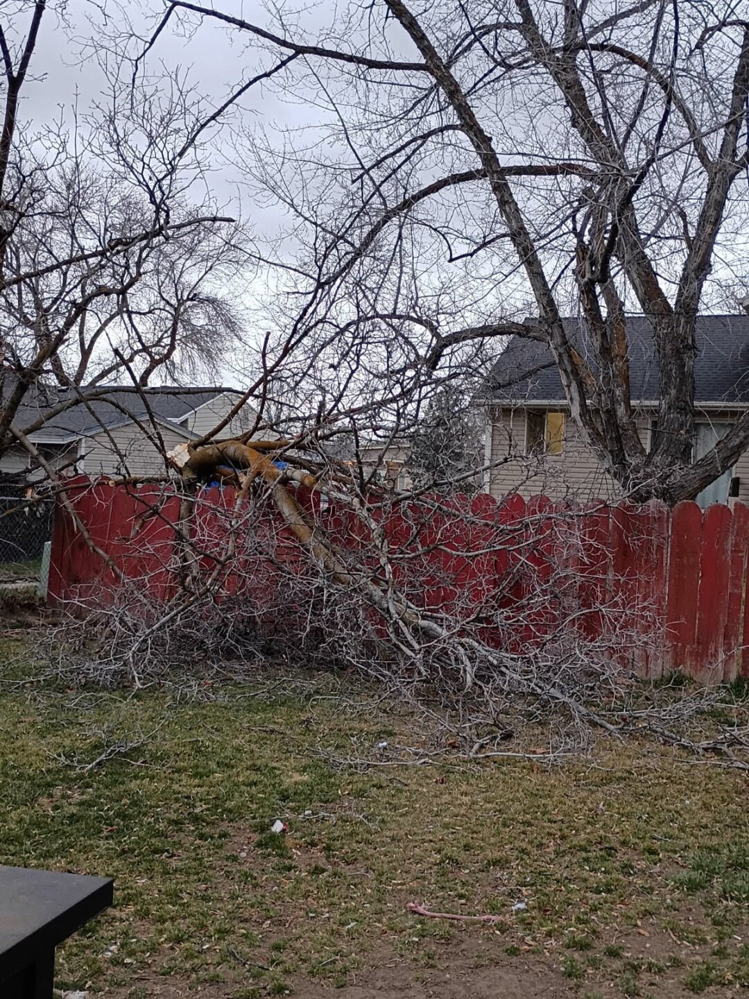 2cb3b540b82d5177123f392fde48cb00085a68e0-1 (1).jpg