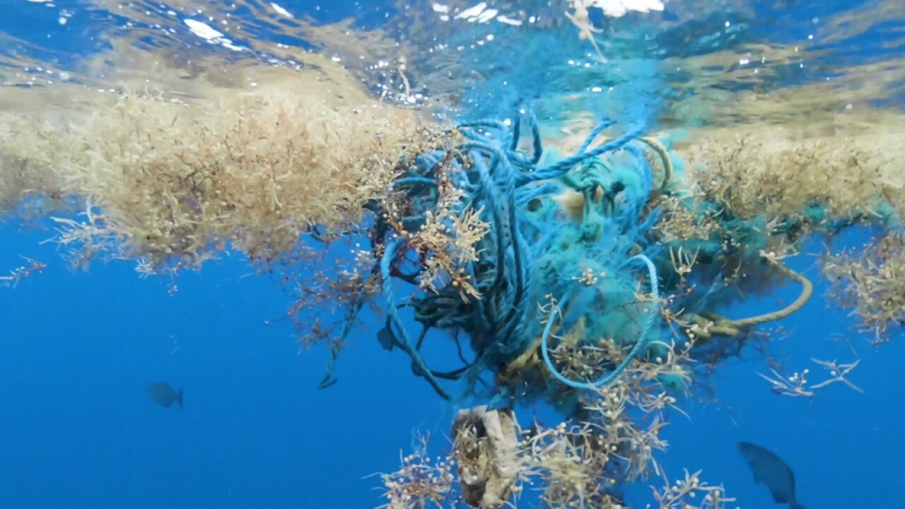 Microplastics In The Atlantic The Terrifying Truth You Wont Believe This - uz4b5vf