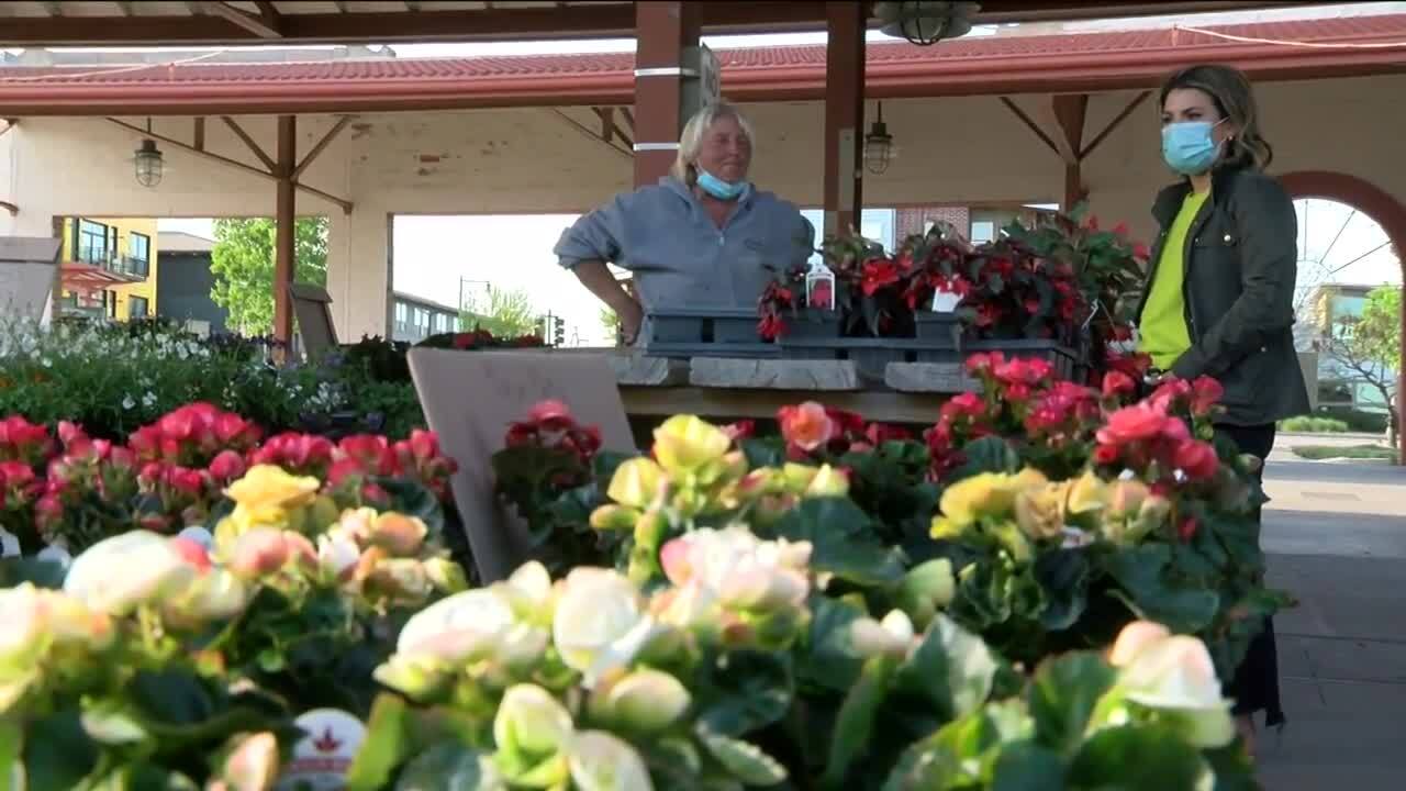 Poster image - 2021-05-13T221348.164.jpg