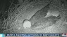 LIVE: Eagle watch 2016 happening now