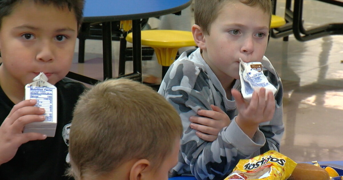 'We are going to have staff pour milk for students': Milk carton supply shortage - Vimarsana News