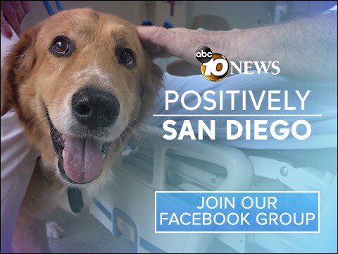 JOIN OUR GROUP TODAY