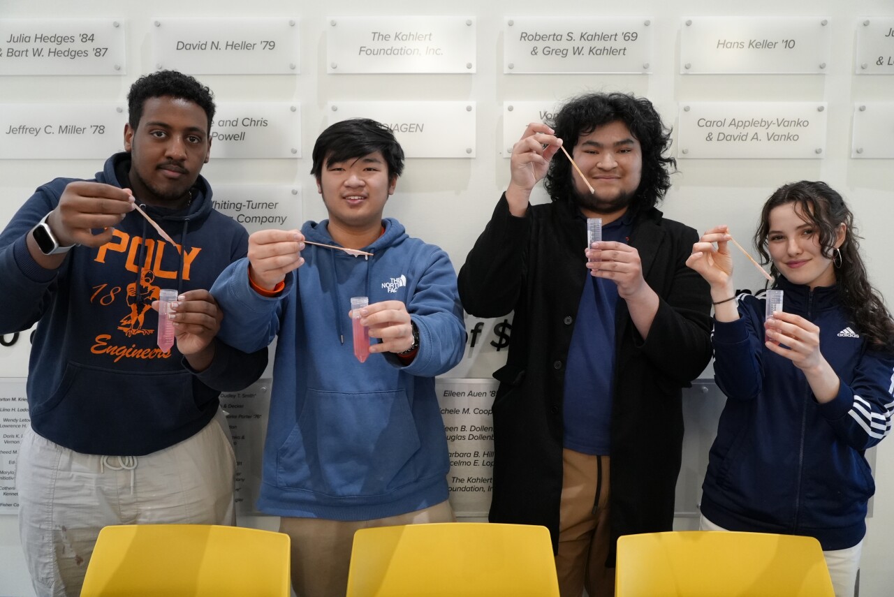 Poly STEM Outreach team members Briuk Nijatu, Andrew Gao, Junior Mondragon Soto, and Maelle Girard Tsuru (left to right) showing off strawberry DNA