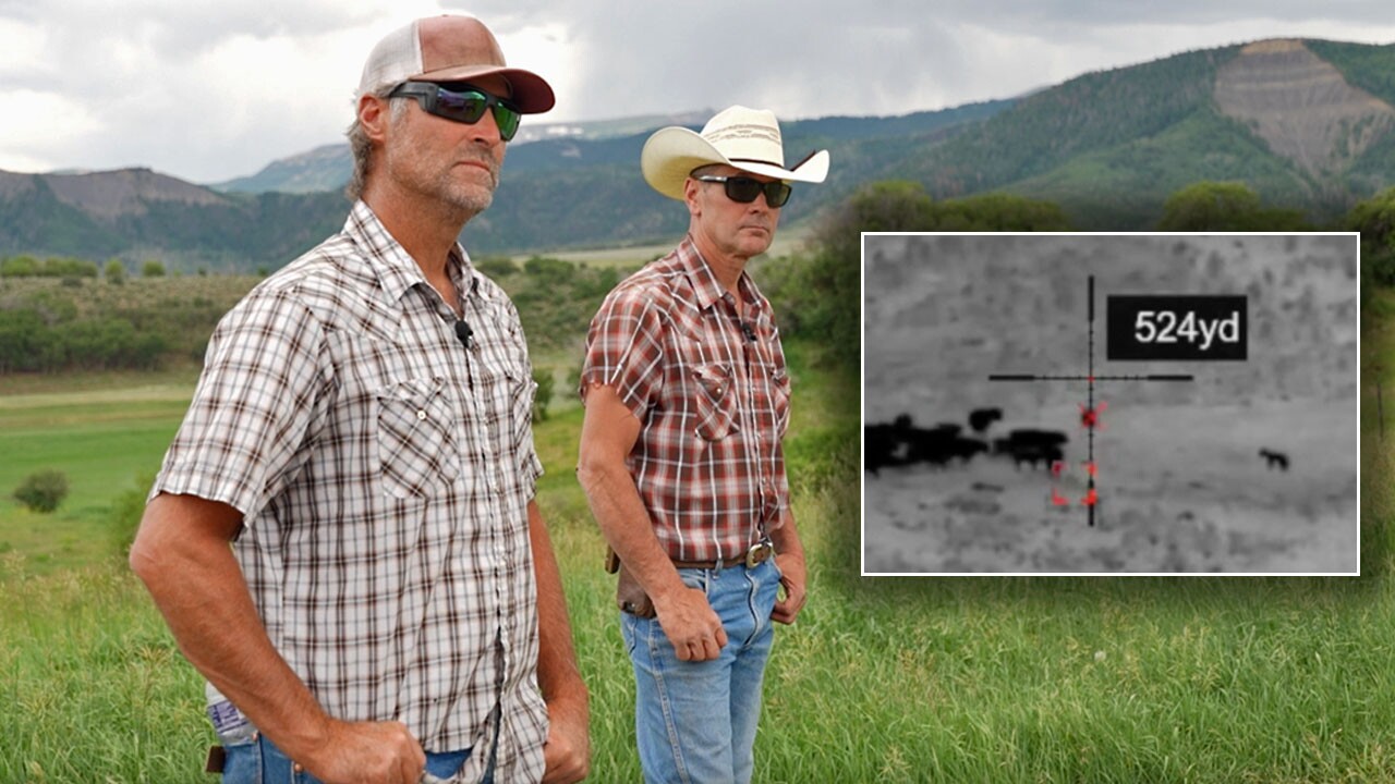 Michael Cerveny and Brad Day with screenshot of wolf attack on cows