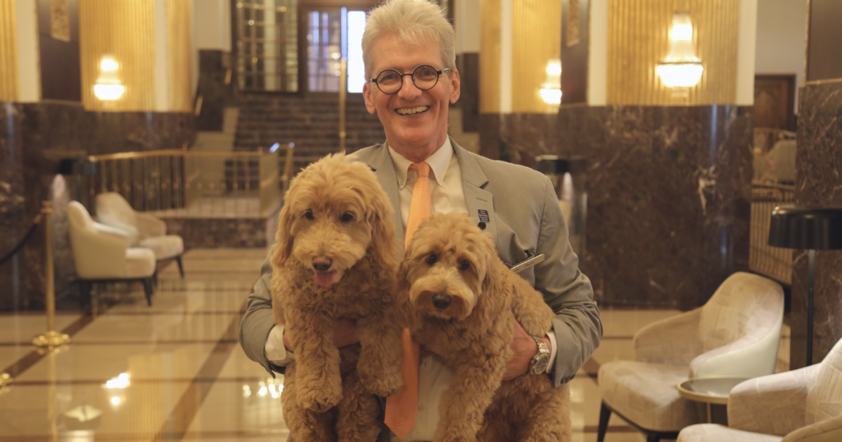 Beloved dogs Millie and Sadie at Hilton Milwaukee are retiring