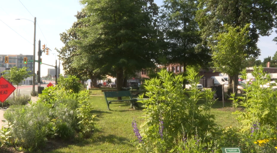 Screenshot 2024-05-10 100029.png