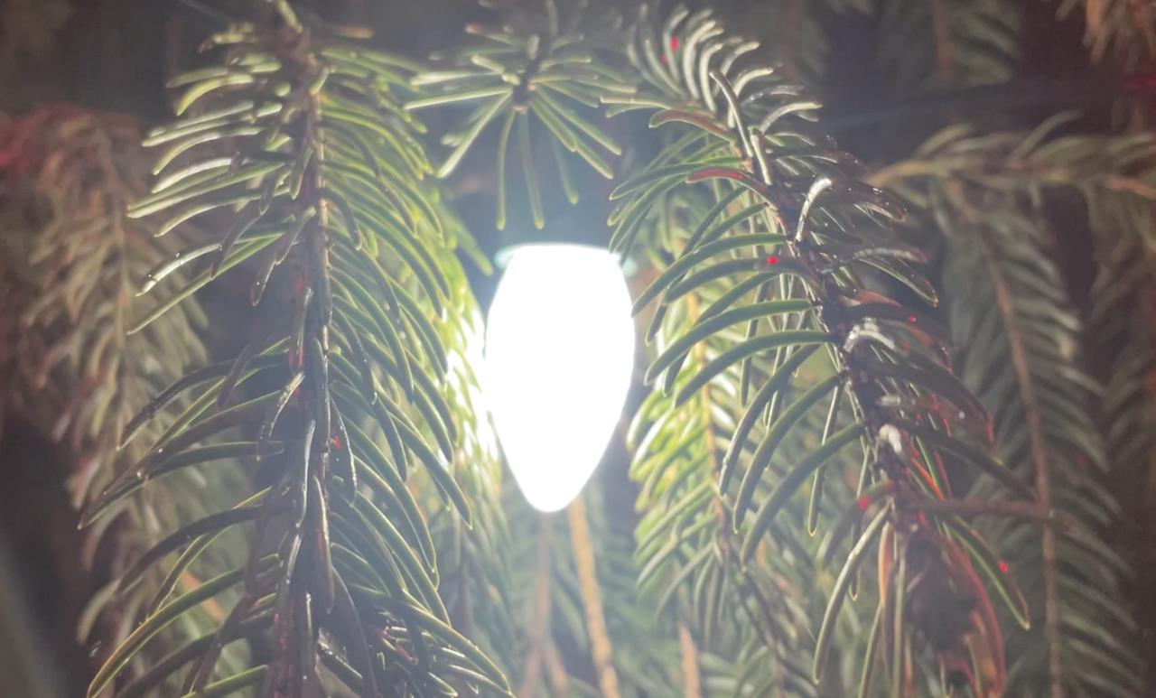 Cossin Christmas tree LED lights