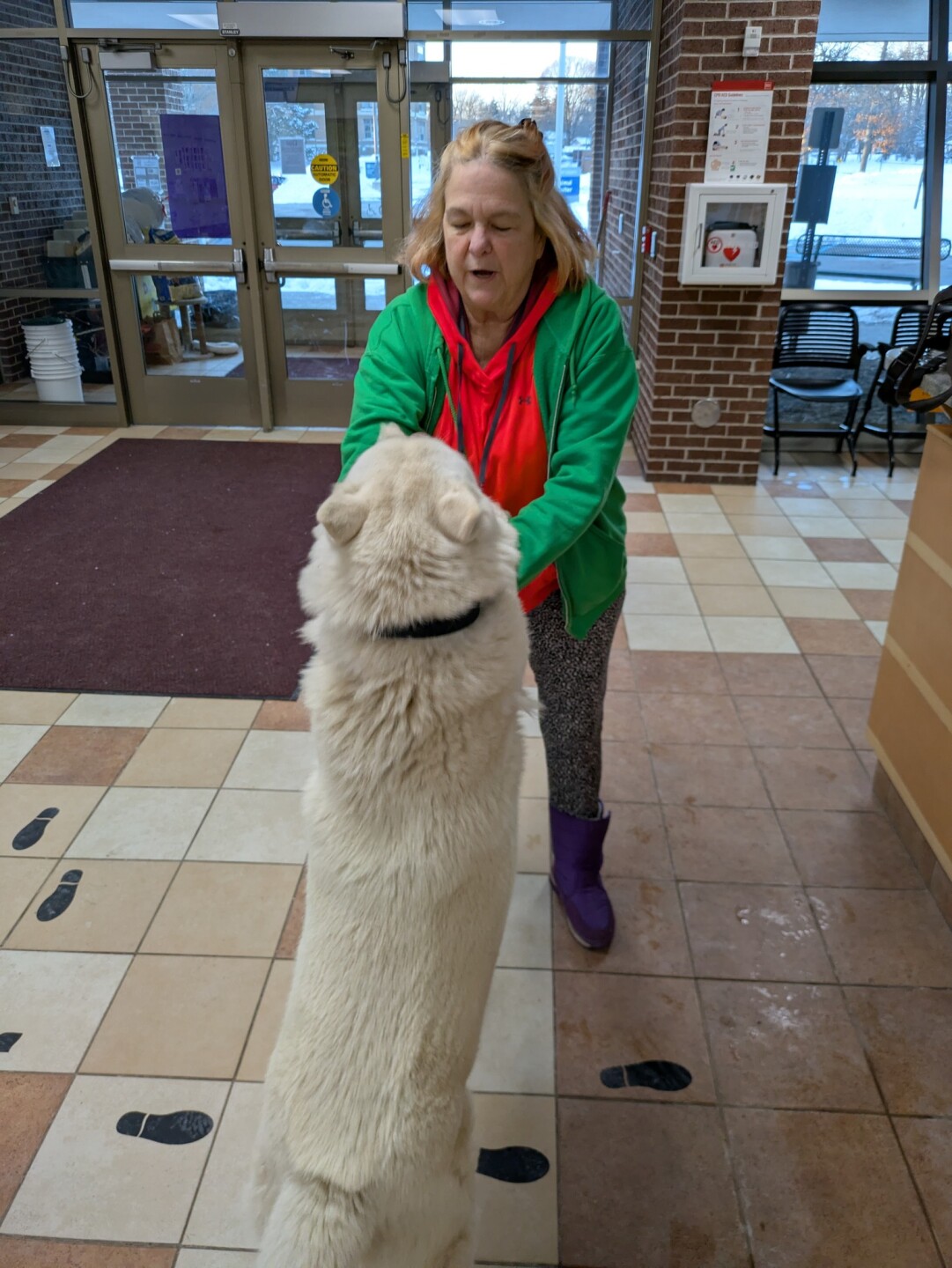 Julie and the lost dog 2.jpg