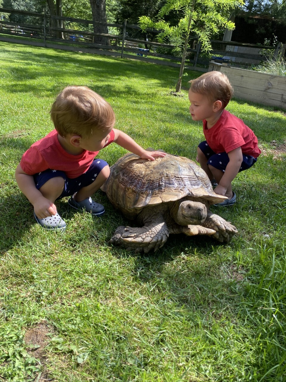 thumbnail_image2 (1).jpg