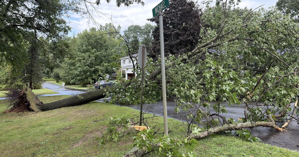 Detroit's first tornado in 29 years tears through lower Eastside