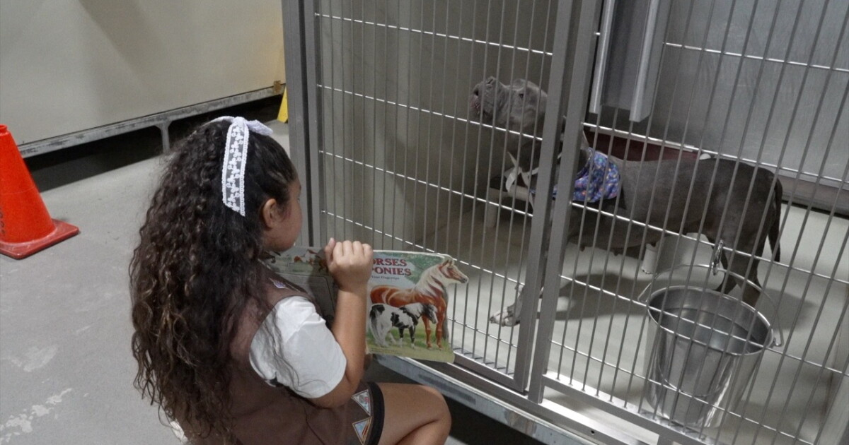 Kern County kids read to shelter animals in 'Tales for Tails' summer program